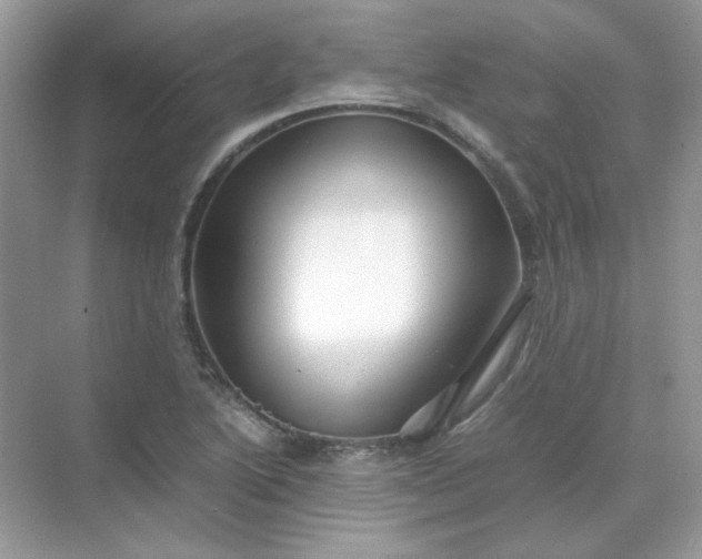 X0000071971222200607212309