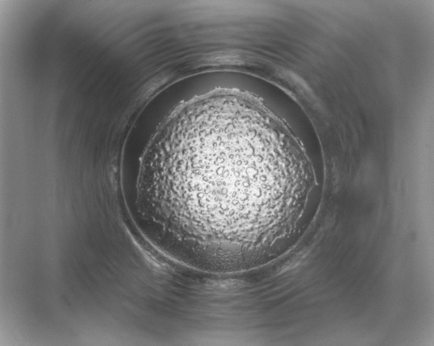 X0000071971225200607212309