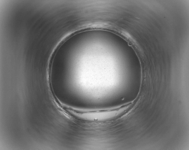 X0000071971232200607212310