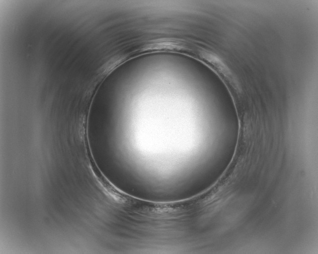 X0000071971233200607212310