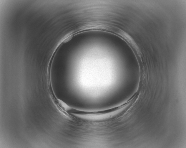 X0000071971242200607212310