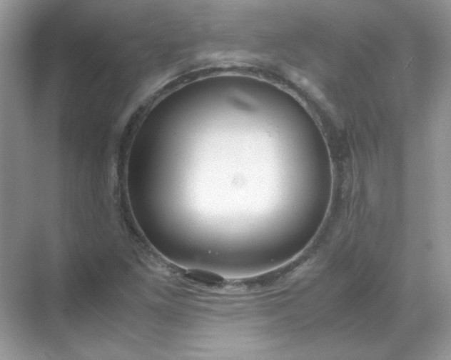 X0000071971261200607212309