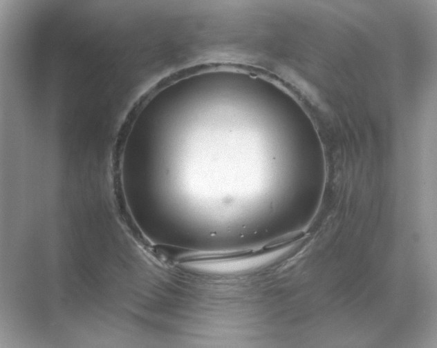 X0000071971264200607212309
