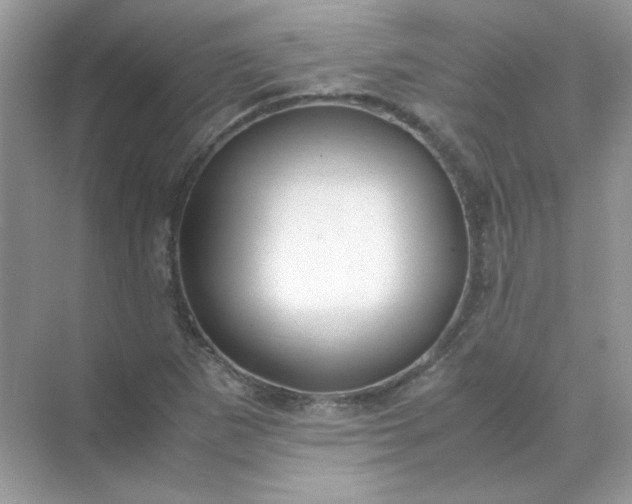 X0000071971265200607212309