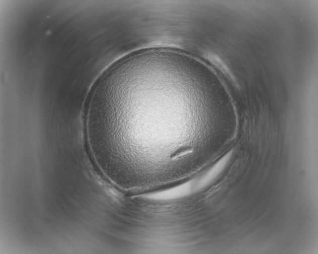 X0000071971268200607212309