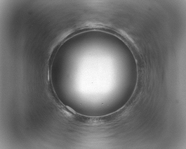 X0000071971269200607212309