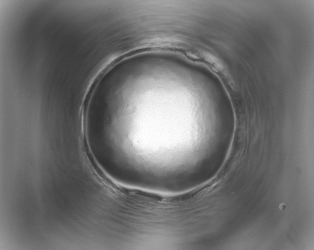 X0000071971275200607212309