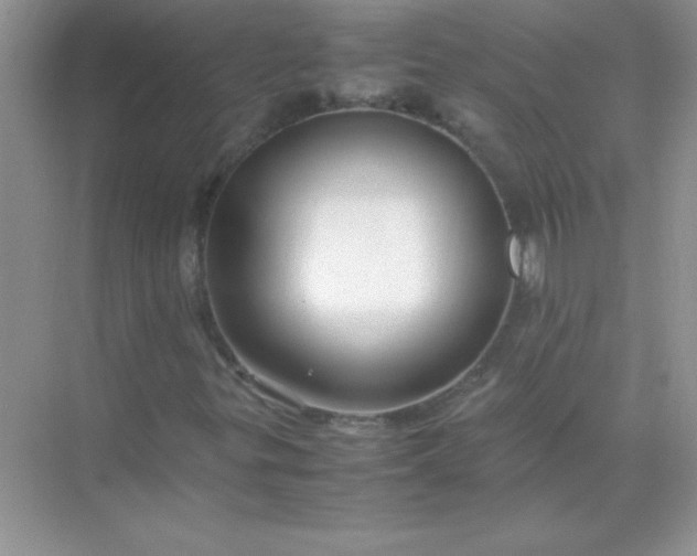 X0000071971299200607212307
