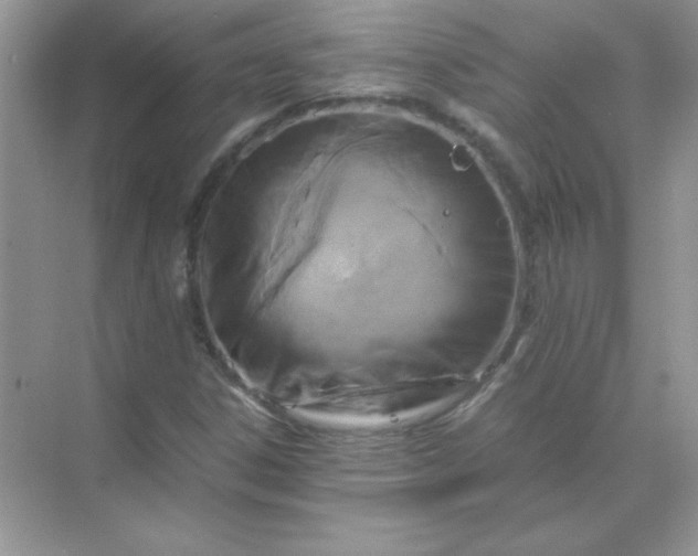 X0000071971306200607212308