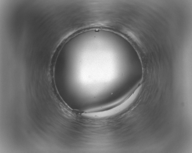 X0000071971308200607212308