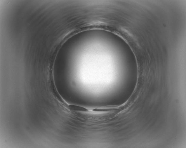 X0000071971313200607212308