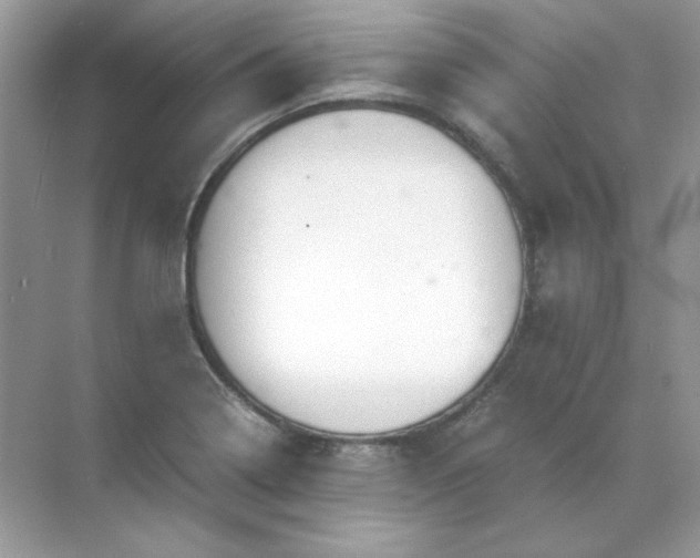 X0000071971322200607212308