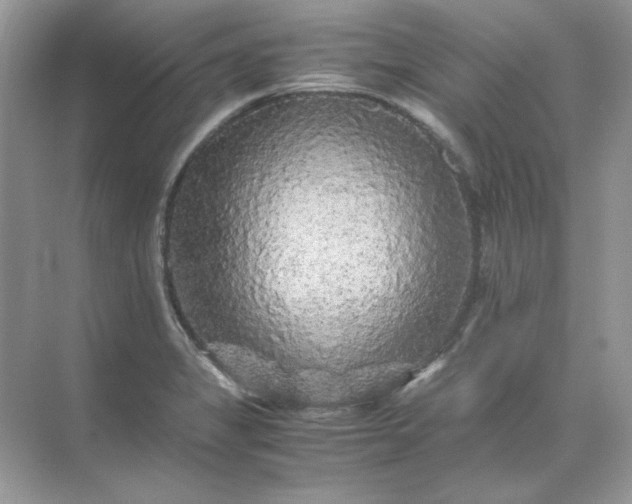 X0000071971325200607212308