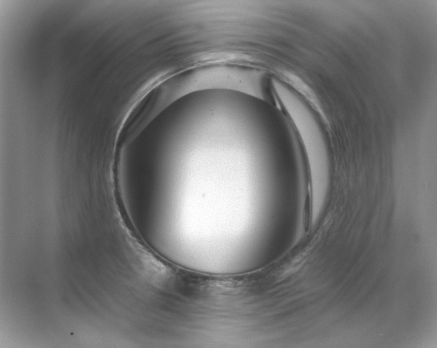 X0000071971330200607212308