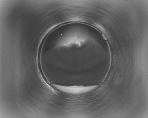 X0000071971331200607212308