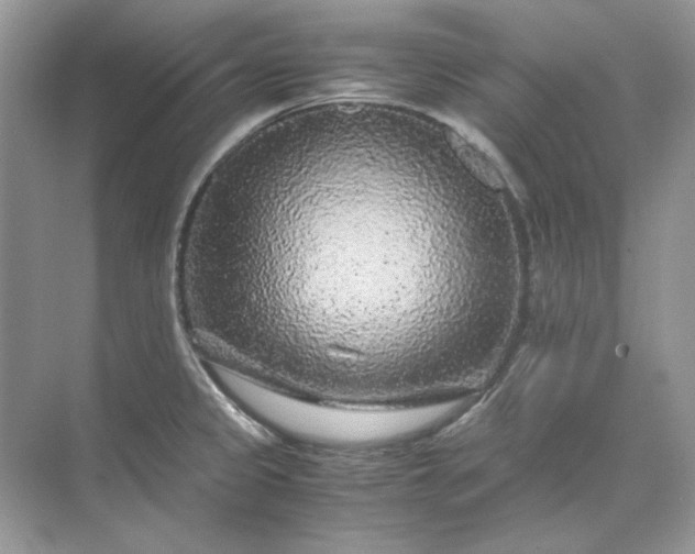 X0000071971333200607212308