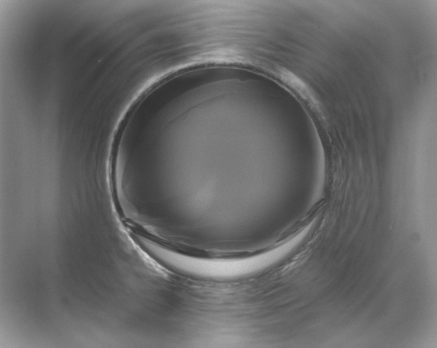 X0000071971334200607212308