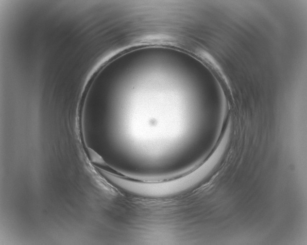 X0000071971336200607212308