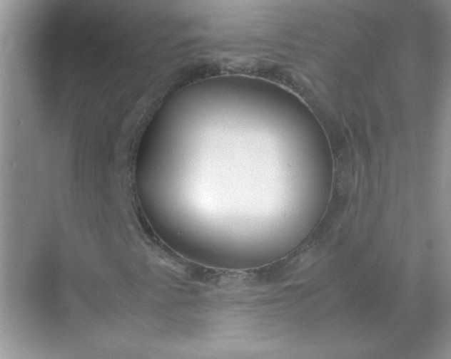X0000071971345200607212307