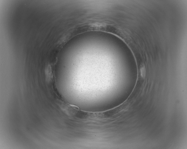 X0000071971347200607212307