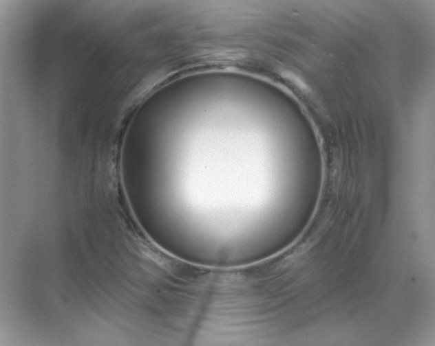 X0000071971354200607212307