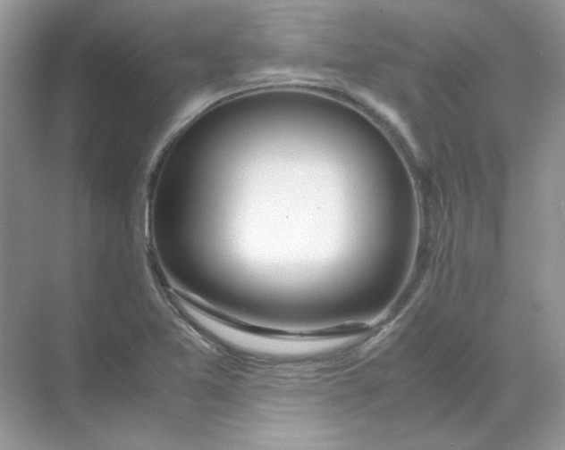 X0000071971365200607212307