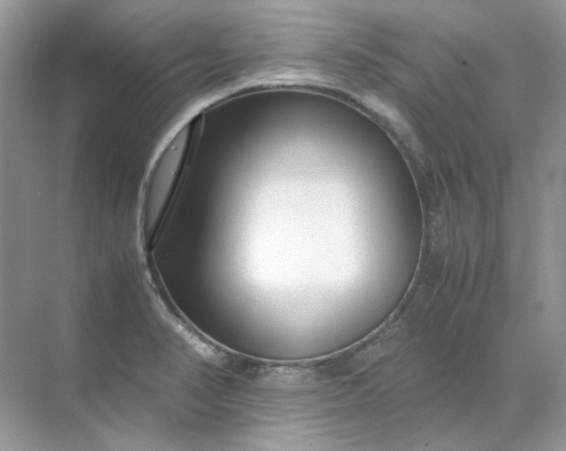 X0000071971374200607212307