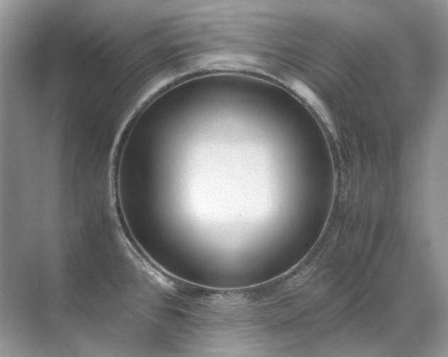 X0000071971384200607212307