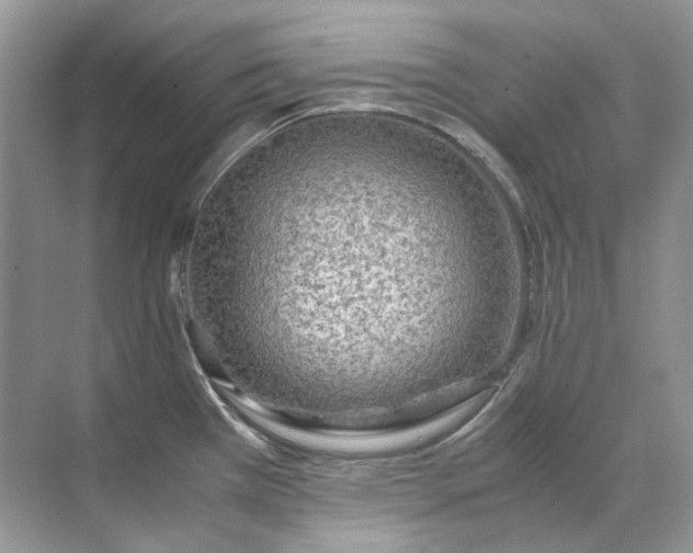 X0000071971385200607212307