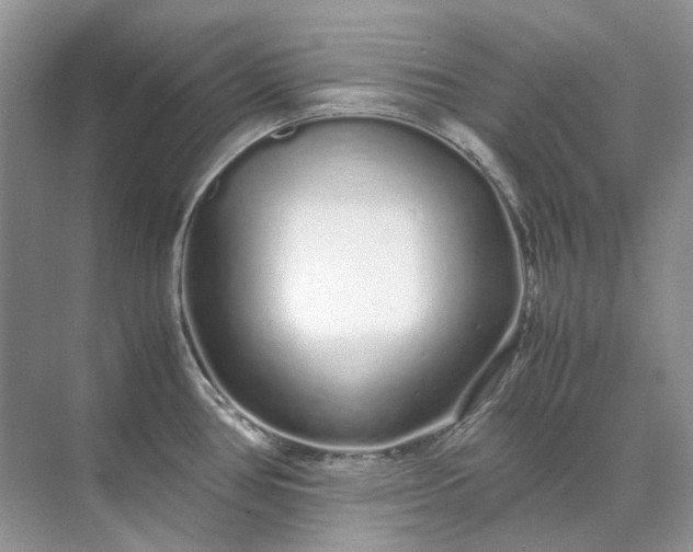 X0000071971386200607212307