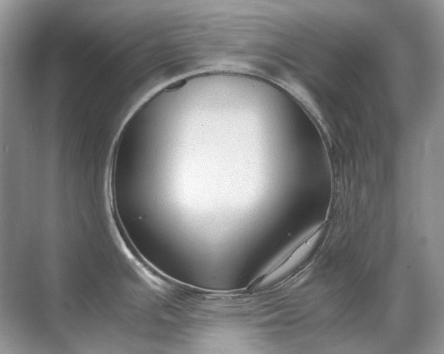 X0000071971391200607212307