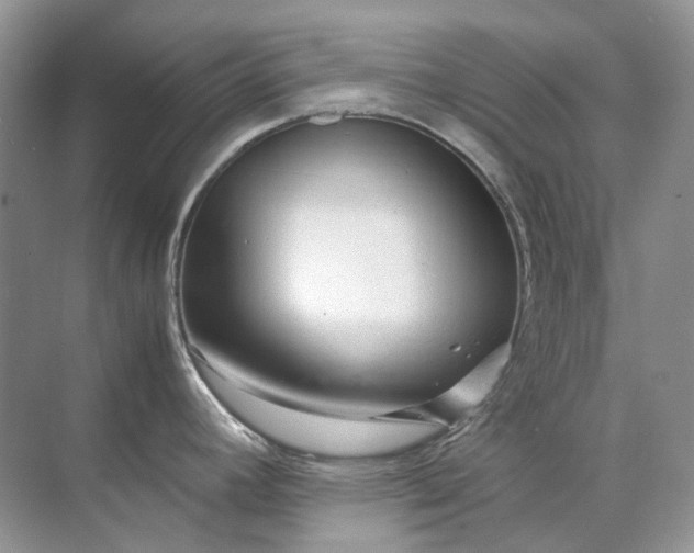 X0000071971392200607212307