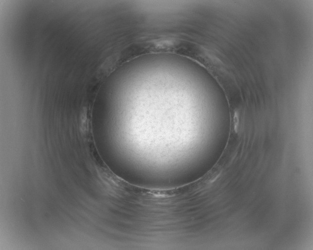 X0000071971395200607212306