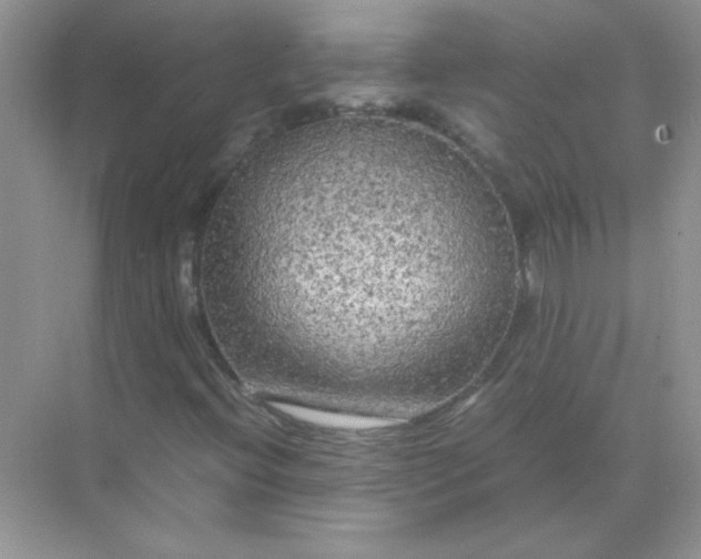 X0000071971396200607212306