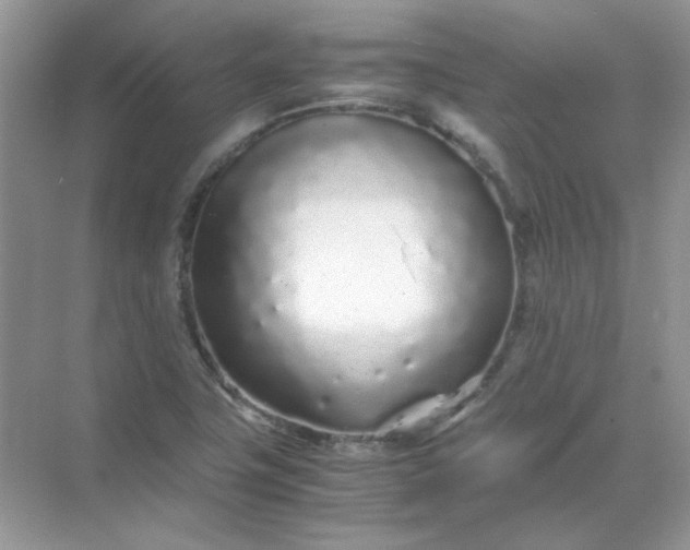 X0000071971411200607212306