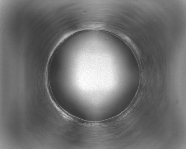 X0000071971432200607212306