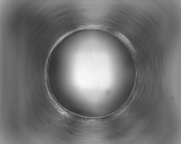 X0000071971436200607212307