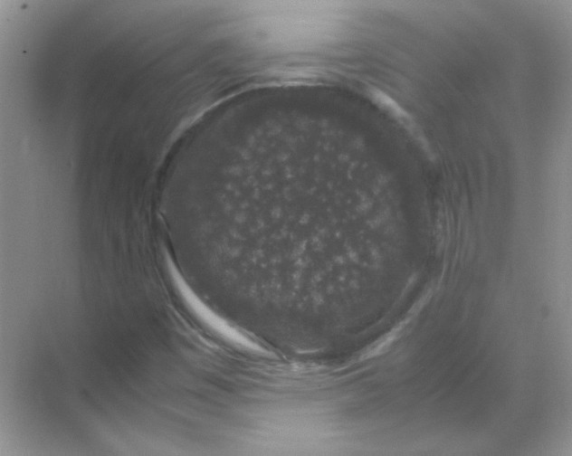 X0000071971449200607212306