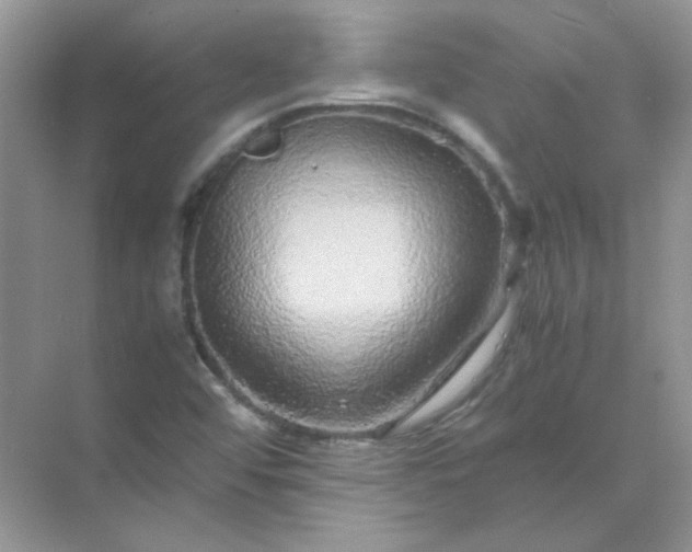 X0000071971456200607212306