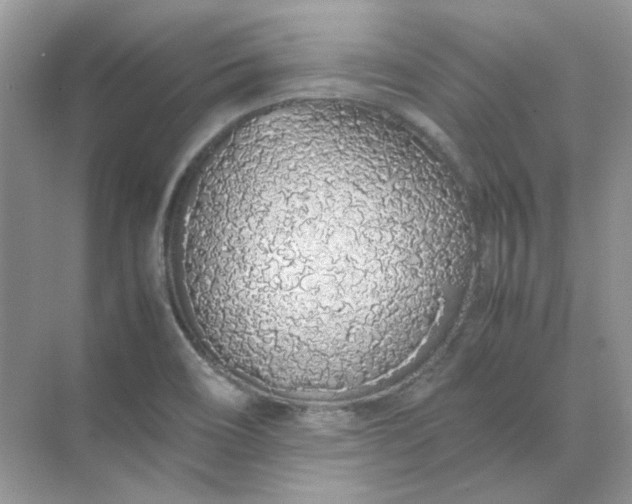 X0000071971466200607212305