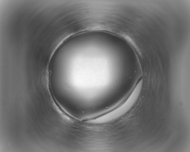 X0000071971476200607212305