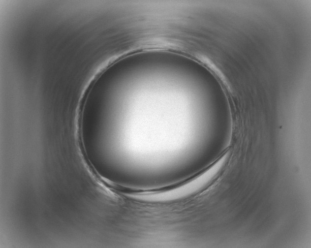 X0000071971477200607212305