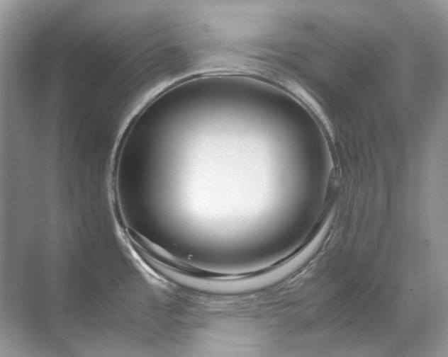 X0000071971485200607212305