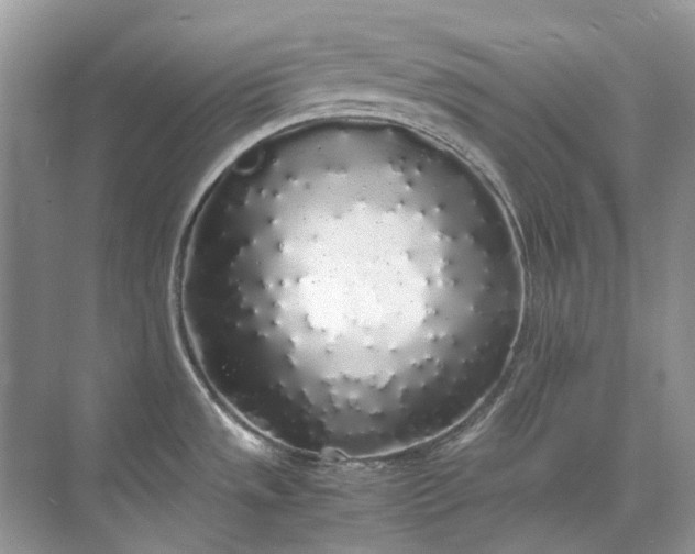 X0000071971533200607212305