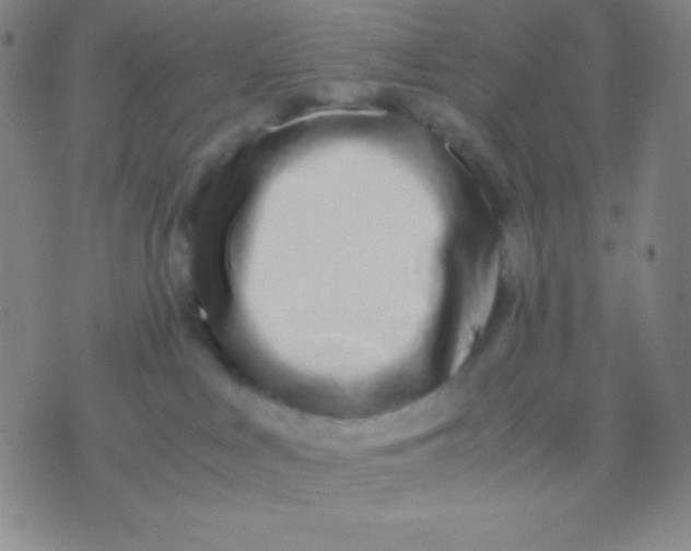X0000071970043200607282109