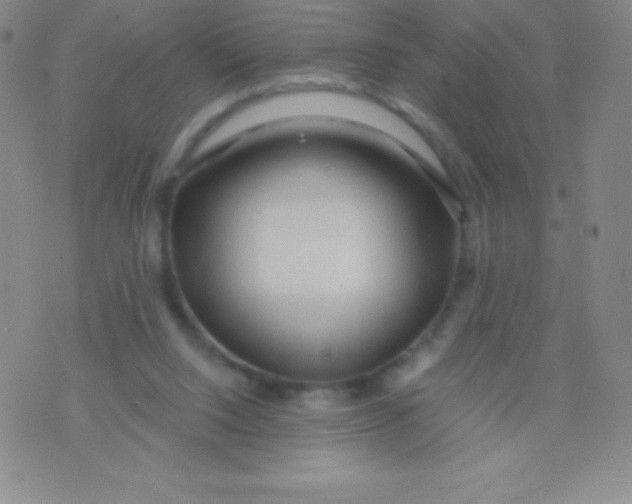 X0000071970064200607282108