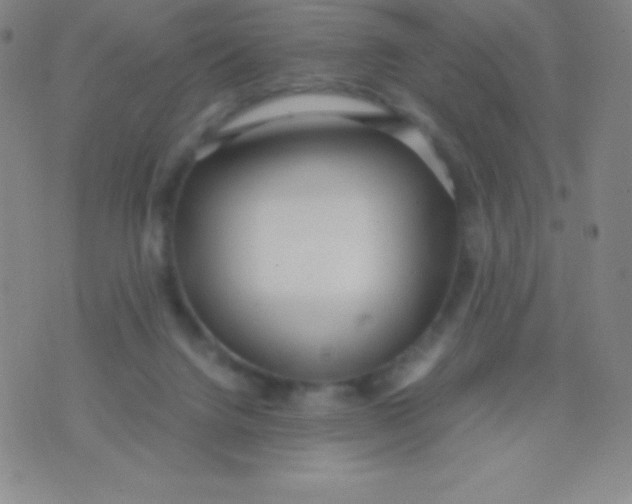 X0000071970072200607282108