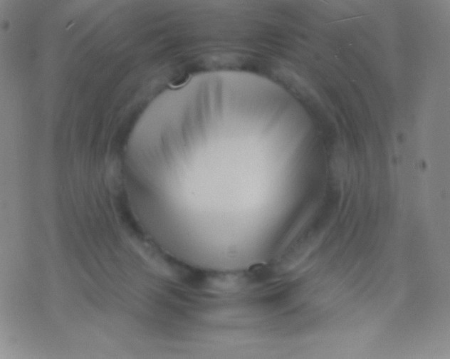 X0000071970079200607282108