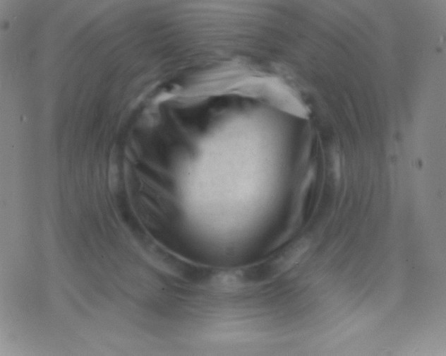 X0000071970080200607282108