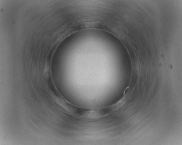 X0000071970082200607282108